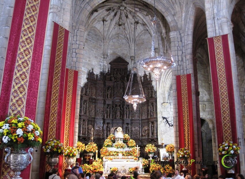 Ver Concatedral de Santa María